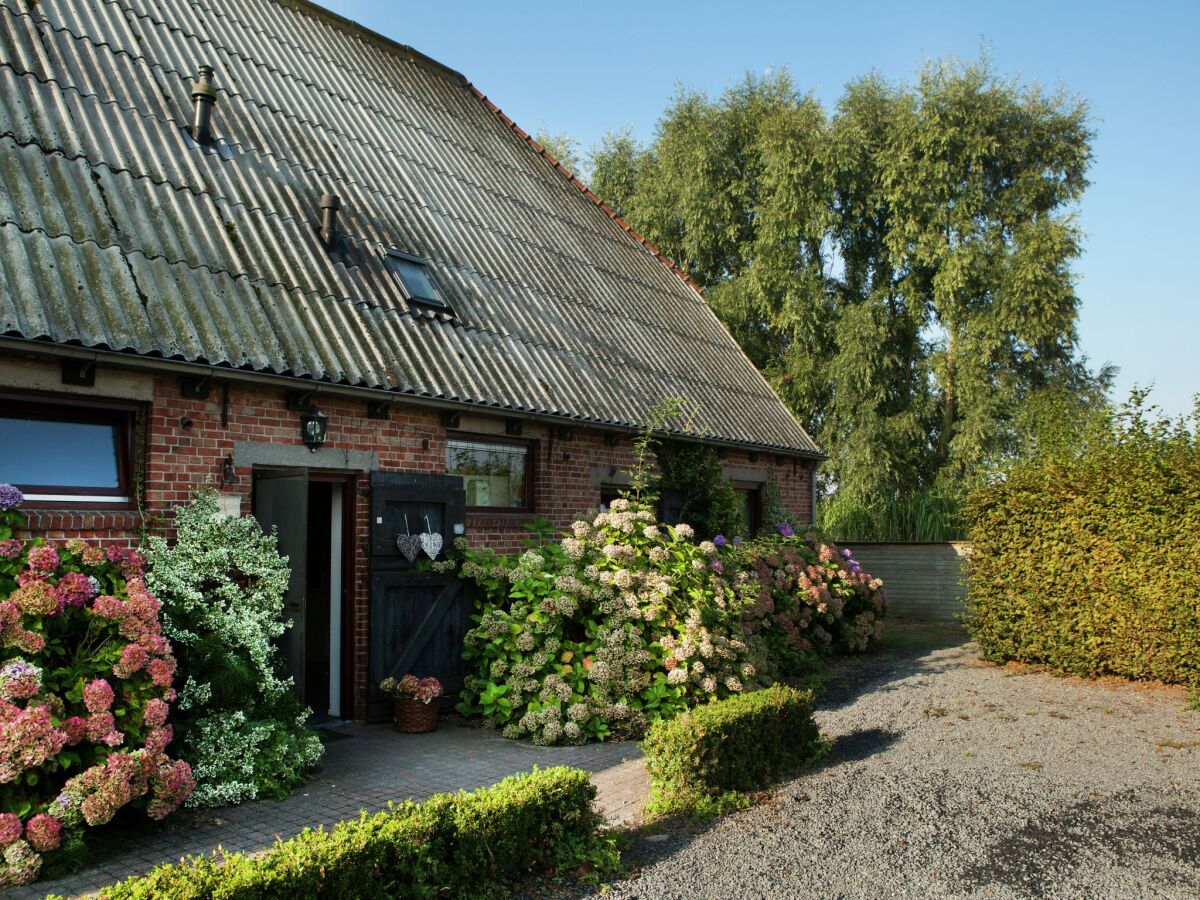 Farmhouse Aardenburg Outdoor Recording 1