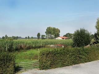 Fattoria Aardenburg Registrazione all'aperto 5