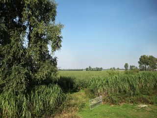 Type de propriété : Ferme Aardenburg Enregistrement extérieur 6