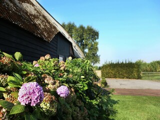 Type de propriété : Ferme Aardenburg  38