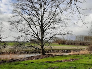 Type de propriété : Ferme Aardenburg Environnement 26