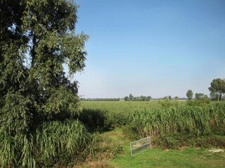 Boerderij Aardenburg Omgeving 37