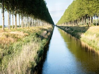 Type de propriété : Ferme Aardenburg Environnement 37