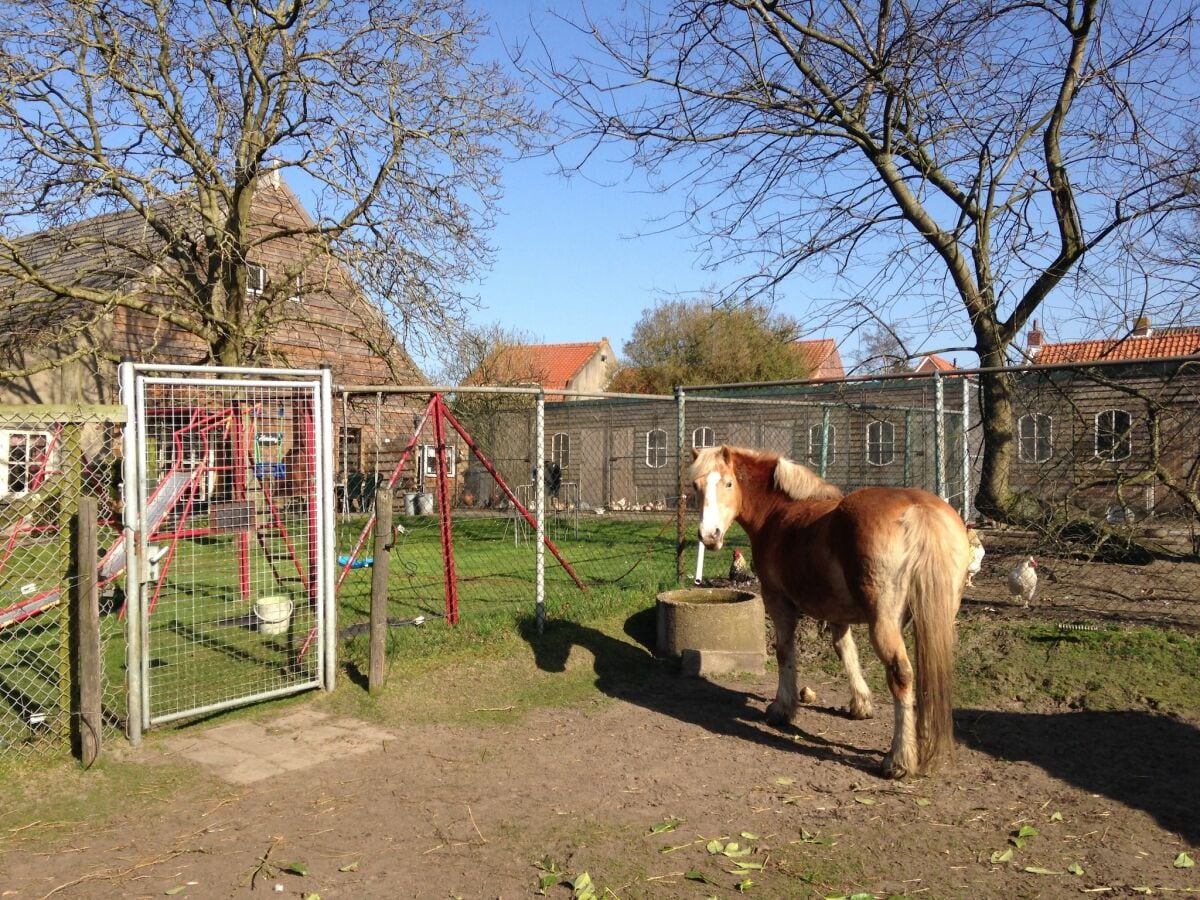 Ferienhaus Bergen op Zoom Außenaufnahme 11