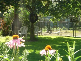 Casa de vacaciones Bergen op Zoom Grabación al aire libre 17
