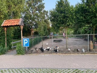 Vakantiehuis Bergen op Zoom  34