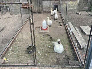 Ferienhaus Bergen op Zoom  32