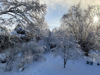 Maison de vacances Bergen op Zoom Environnement 24
