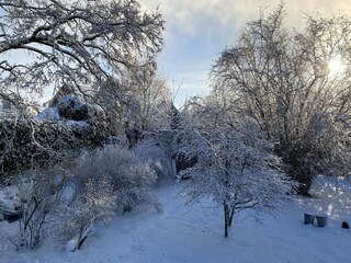 Casa per le vacanze Bergen op Zoom Ambiente 23