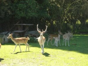 Casa rural Granja cerca de Bergen op Zoom - Bergen en Zoom - image1