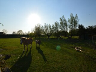 Casa de campo Bergen op Zoom  30