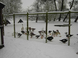 Boerderij Bergen op Zoom Omgeving 29