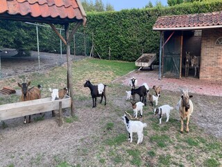Type de propriété : Ferme Bergen op Zoom  26