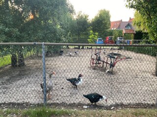 Casa de campo Bergen op Zoom  28