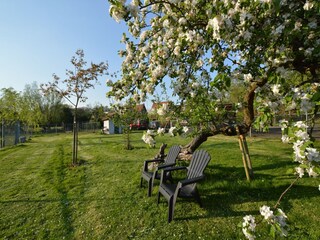 Vakantiehuis Bergen op Zoom Buitenaudio-opname 9