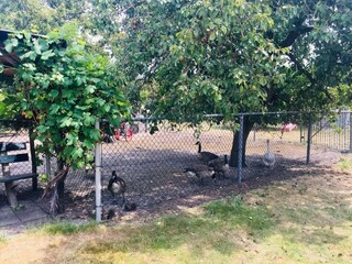 Vakantiehuis Bergen op Zoom Buitenaudio-opname 7