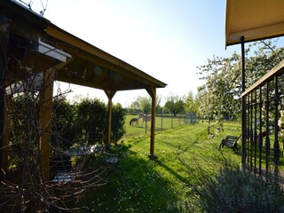 Ferienhaus Bergen op Zoom Außenaufnahme 14