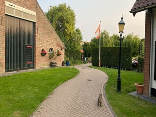Vakantiehuis Bergen op Zoom  27
