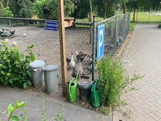 Casa de vacaciones Bergen op Zoom  31