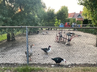 Maison de vacances Bergen op Zoom  29