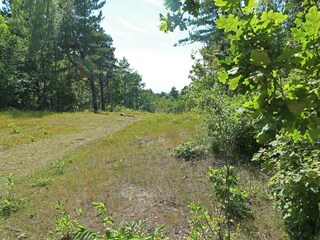 Apartment Bergen aan Zee Umgebung 19