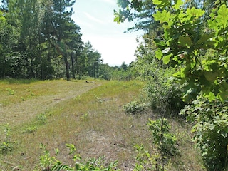Appartement Bergen aan Zee Environnement 19