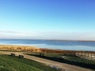 Holiday house Terneuzen Environment 35