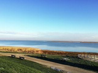 Vakantiehuis Terneuzen Omgeving 35