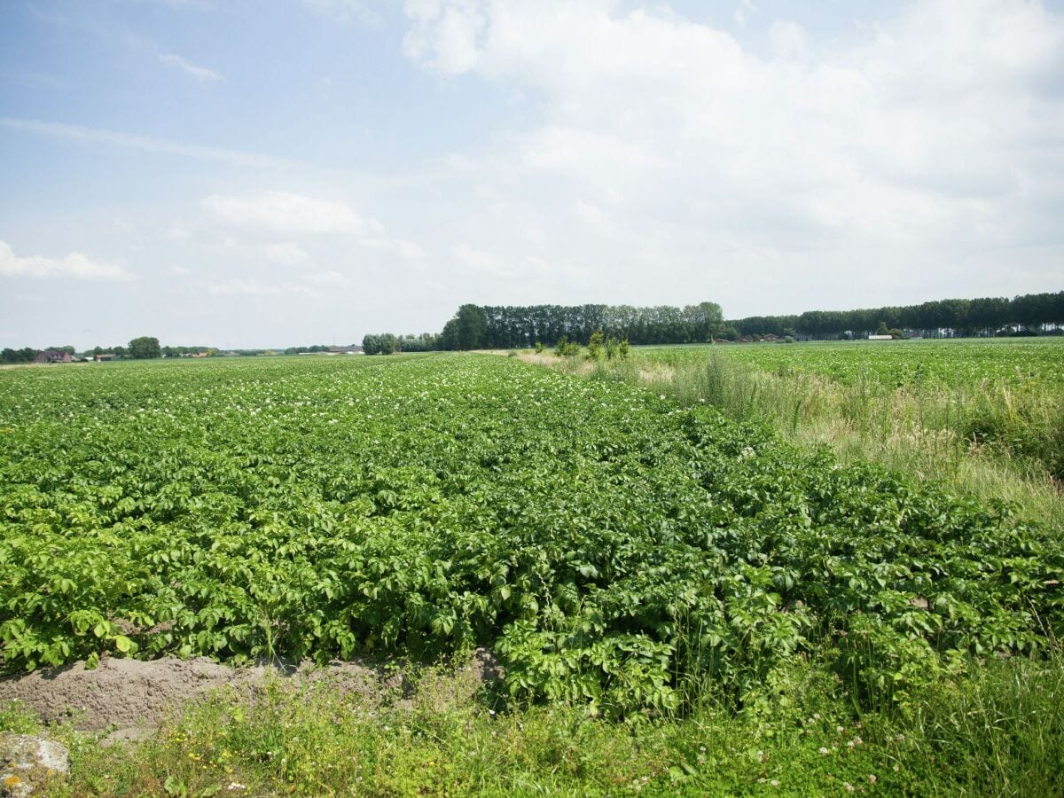 Vakantiehuis Aardenburg Buitenaudio-opname 1