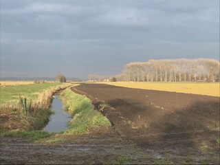 Ferienhaus Aardenburg Außenaufnahme 7