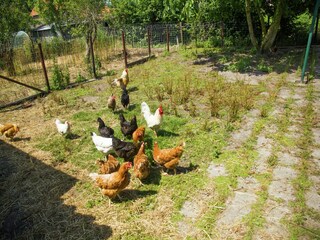 Casa per le vacanze Aardenburg Ambiente 32