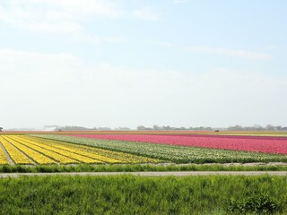 Ferienhaus Callantsoog Umgebung 19