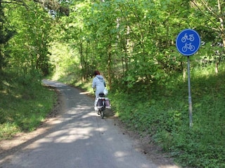 Holiday house Noordwijk Environment 36