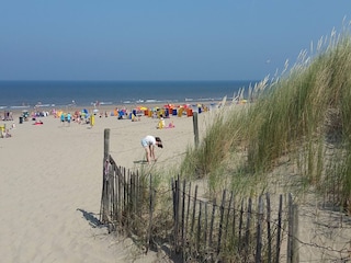 Holiday house Noordwijk Environment 27