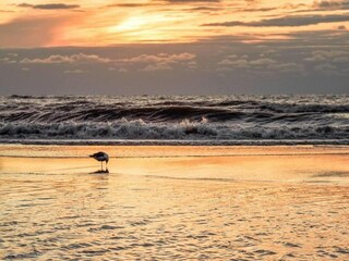 Casa per le vacanze Noordwijk Ambiente 32