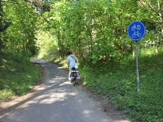 Ferienhaus Noordwijk Umgebung 35