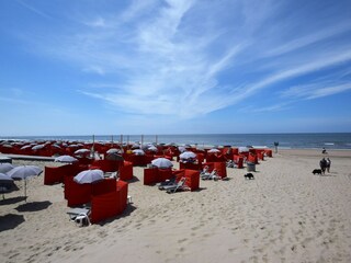 Casa de vacaciones Noordwijk Entorno 37