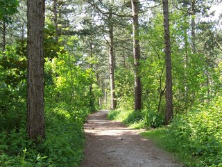 Vakantiehuis Noordwijk Omgeving 38