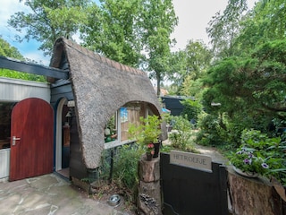 Ferienhaus Bergen (Holland) Außenaufnahme 4