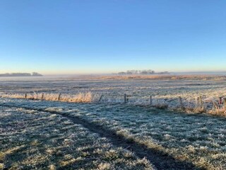 Ferienhaus Bergen (Holland) Umgebung 20
