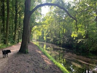 Maison de vacances Bergen (Holland) Environnement 29