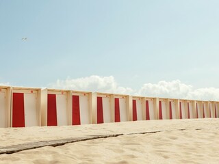 Maison de vacances Bergen aan Zee Environnement 36