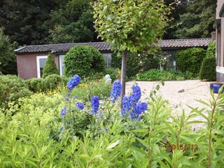 Maison de vacances Egmond aan den Hoef Enregistrement extérieur 5