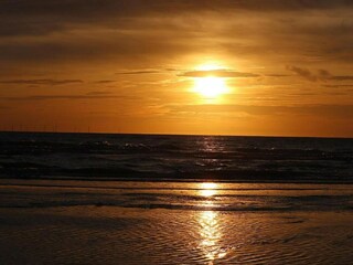 Holiday cottage Egmond aan den Hoef Environment 28