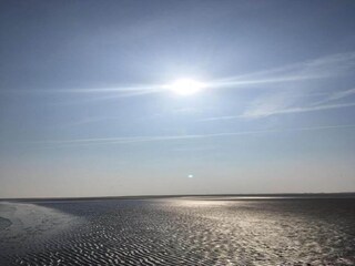 Vakantiehuisje Nes Omgeving 30