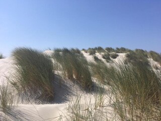 Maison de vacances Nes Environnement 20