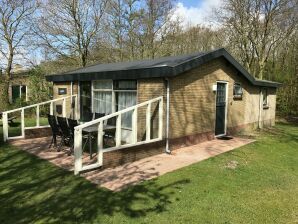 Vakantiehuis Moderne bungalow op Ameland naast de duinen