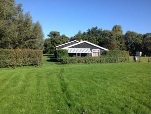 Holiday house Ruhiges Ferienhaus in Burgh-Haamstede, Seeland mit Garten - Renesse - image1