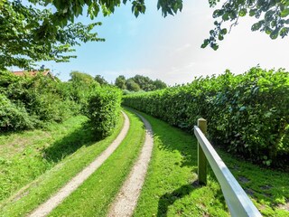 Maison de vacances Renesse Enregistrement extérieur 9