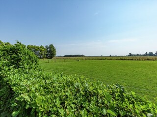Vakantiehuis Renesse Buitenaudio-opname 2